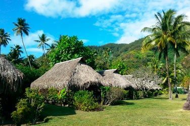 Les chambres sont rparties dans un beau jardin tropical ou en bord de mer