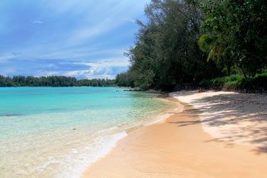 L'htel Hibiscus se niche sur un site privilgi