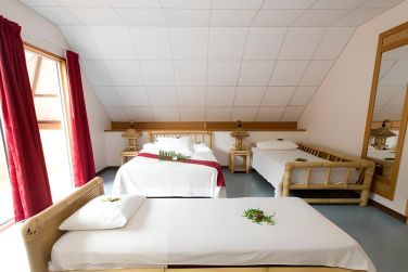 photo Hibiscus Moorea Polynsie