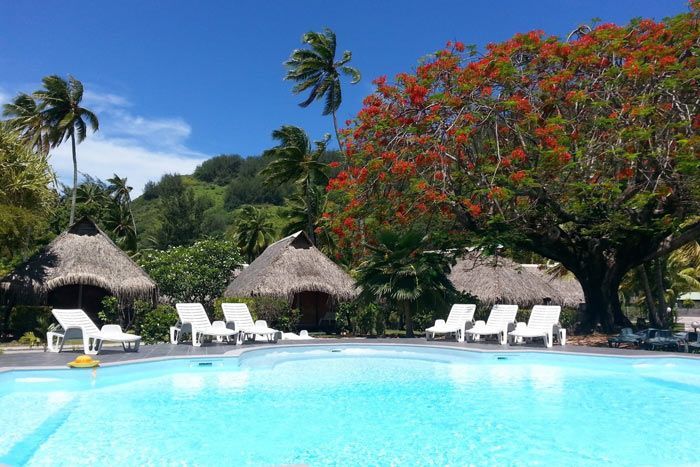 photo hibiscus moorea