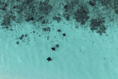 photo Constance Moofushi Maldives Maldives