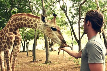 Sjournez  l'htel Tamarina et bnficiez d'une entre gratuite au Parc de Casela !