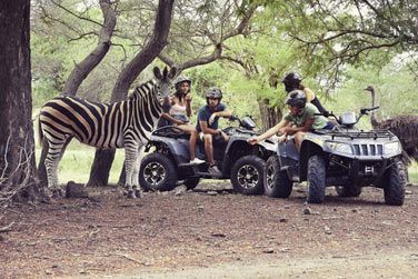 Vivez une exprience inattendue  seulement 5 minutes de l'htel