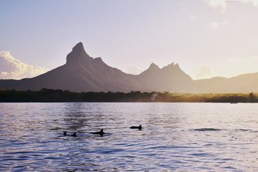 Un lieu idal pour observer les dauphins !