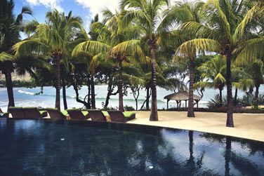 Au programme de votre sjour : dtente et farniente au bord de la piscine au coeur de la vgtation tropicale