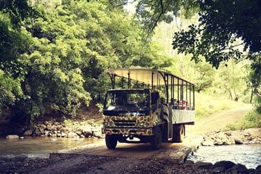 Partez en safari  la dcouverte des quelques animaux sauvages qui peuplent le parc