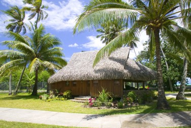 photo Combin� 7 �les - Perles tropicales Polyn�sie