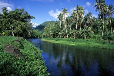 Ainsi que la seule rivire navigable de la Polynsie !