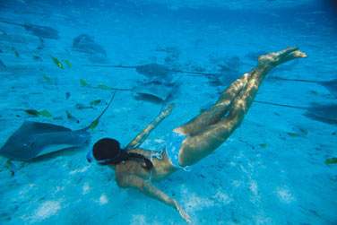 Bora Bora et ses fonds marins vous sublimeront !