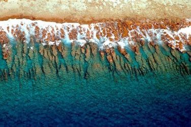 photo Combin 6 les - Polynsie essentielle Polynsie