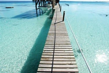 photo Combin 6 les - Polynsie essentielle Polynsie