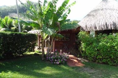 photo Combin 6 les - Polynsie essentielle Polynsie