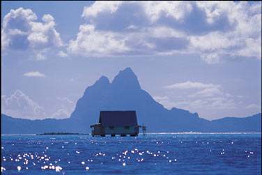 photo Combin� 6 �les - Polyn�sie essentielle Polyn�sie