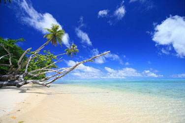 photo Combin� 6 �les - Polyn�sie essentielle Polyn�sie