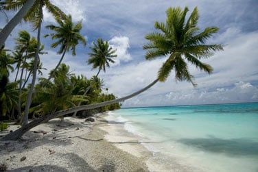 photo Combin 6 les - Polynsie essentielle Polynsie