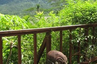 photo Combin 6 les - Polynsie essentielle Polynsie