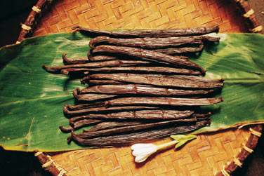 et les senteurs de l'le Vanille !