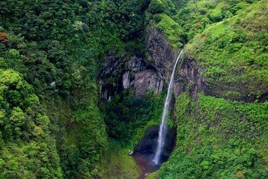 photo Combin 6 les - Polynsie essentielle Polynsie