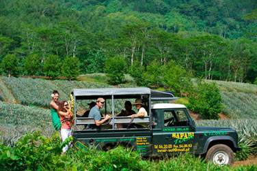 Explorez l'environnement exceptionnel de l'le...