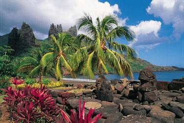 deux les toutes aussi surprenantes l'une que l'autre ..