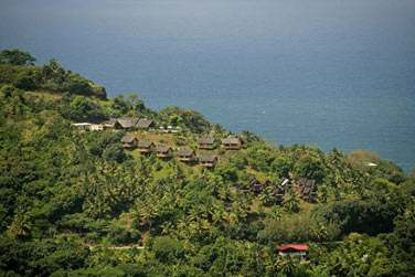 Des les hautes o la vgtation est exubrante ..