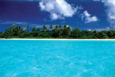 Regardez ... c'est tellement beau !