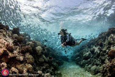 photo Combin� 6 �les - Passion Plong�e Polyn�sie