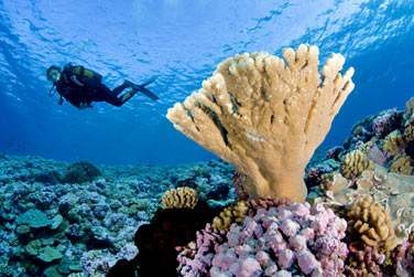 Ils ont test pour vous ..