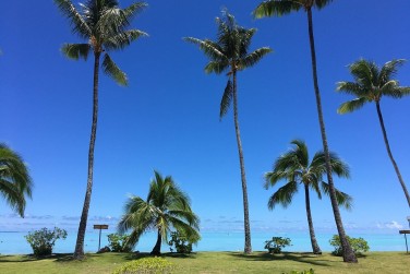 photo Combin� 6 �les - Passion Plong�e Polyn�sie