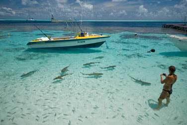 Un sjour de rve  porte de main... Vous pourrez plonger dans les eaux translucides de Polynsie