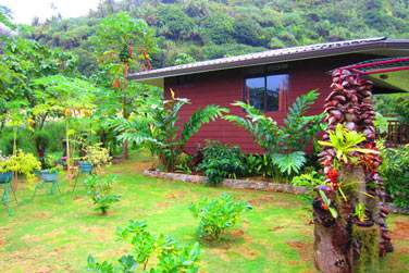 La Pension Manotel vous accueillera dans son petit paradis ..