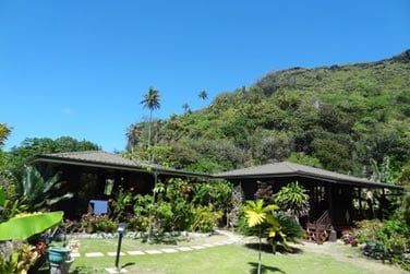 Au coeur de cette belle nature luxuriante