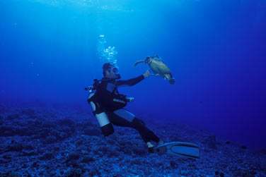 Qu'en dites-vous ? Vous tes prts ? Appelez-nous...