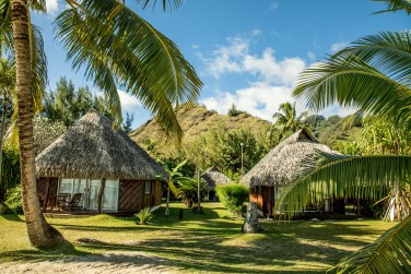 photo Combin� 6 �les - Passion Plong�e Polyn�sie