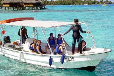 Amoureux des fonds marins, ce combin exceptionnel est pour vous !