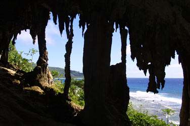 .. vous aurez de quoi y dcouvrir surprenantes...
