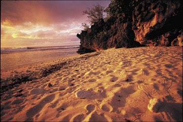 Aux Australes .. A Rurutu ..