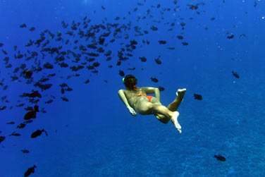 Alors ouvrez grand vos yeux ..