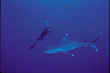 Et une rencontre extraordinaire ..