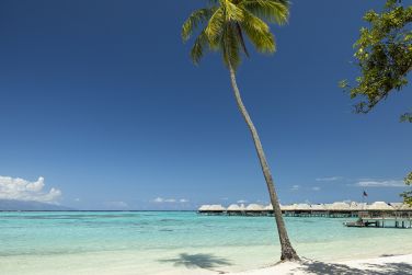 Sofitel Moorea Kia Ora Beach Resort 5*