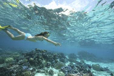 photo Combin 3 les - Romance polynsienne Polynsie