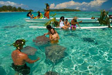 photo Combin 3 les - Romance polynsienne Polynsie