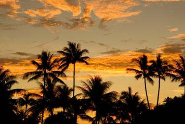 et profitez .. du coucher de soleil sous les cocotiers !