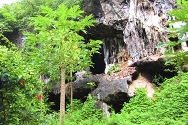 Et sa nature extraordinaire...