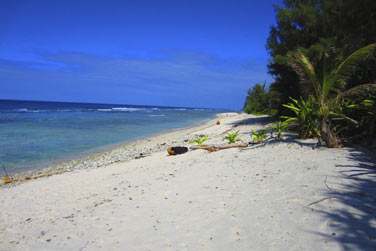 Borde par un beau lagon turquoise et une vgtation luxuriante...