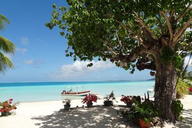 Bienvenue  la pension Papahani !