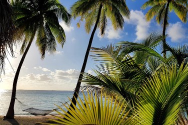 photo Combin� 5 �les - Luxe Enchanteur Polyn�sie