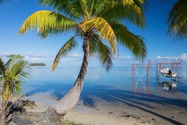 photo Raiatea Lodge Polynsie