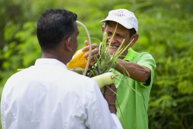 photo Raffles Praslin Seychelles