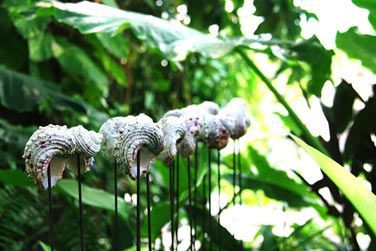 photo Bliss Mah Seychelles Seychelles